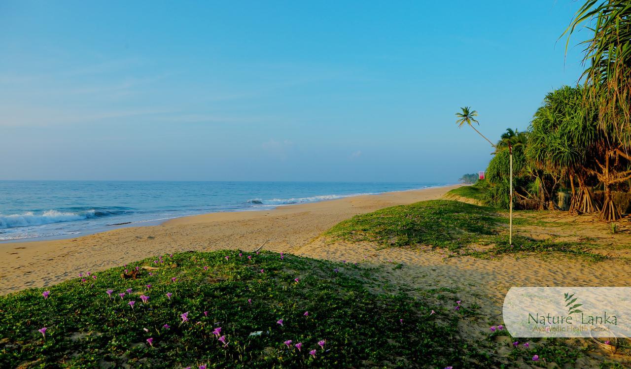 Nature Lanka Ayurveda Resort - All Meals And Ayurveda Treatments With Yoga Tangalle Exterior foto