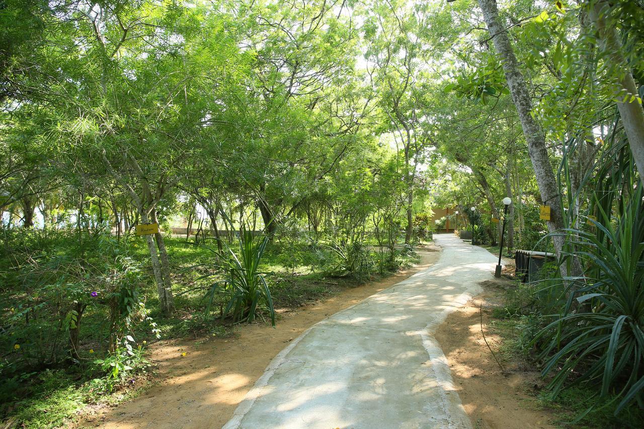 Nature Lanka Ayurveda Resort - All Meals And Ayurveda Treatments With Yoga Tangalle Exterior foto