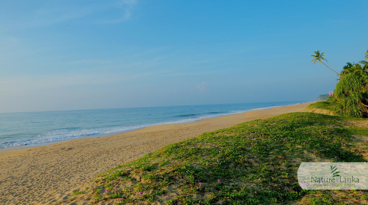Nature Lanka Ayurveda Resort - All Meals And Ayurveda Treatments With Yoga Tangalle Exterior foto